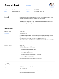Zorghulp Cv Voorbeeld 12x Voor Een Perfect Cv Solliciteer Net