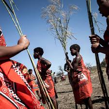 Loving and caring and love cleanliness. Swaziland S Reed Dance Cultural Celebration Or Sleazy Royal Ritual Eswatini The Guardian