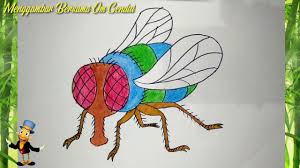 How To Draw Flies In Easy Way And Coloring It Cara Menggambar Lalat Dan Mewarnainya Youtube