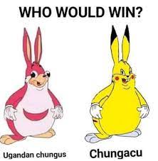 Pin On Big Chungus