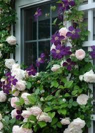 Traditional Landscape By Mj Mccabe Garden Design Flower Garden Plants Climbing Roses