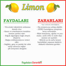 Icerisinde Barindirdigi Zengin Vitamin Cesitleri Hos Kokusu Ve Katmis Oldugu Eksimsi Tat Ile Hemen Hemen Herke Saglikli Beslenme Dogal Saglik Saglikli Yasam