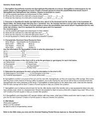 This cartoon has been received as being one of the most popular animated television programs behind the simpsons. Genetics Study Guide Answers