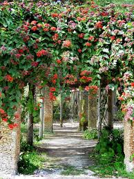 Pin On Beautiful Pictures