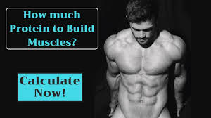 How much protein to build muscle calculator. How Much Protein To Build Muscle Calculate Now Ii Hindi Youtube