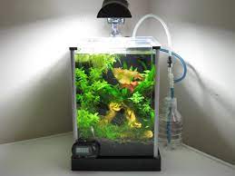Check spelling or type a new query. Onenobee 2 Gallon Your Tanks Aquatic Decor Nano Aquarium Aquarium Lighting