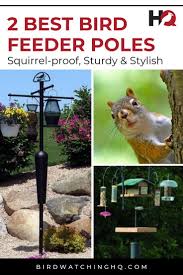 Bird Feeder Pole System The Two Best Bird Feeder Poles Squirrel Proof Sturdy Stylish Squirrel Proof Bird Feeders Bird Feeder Poles Best Bird Feeders