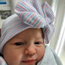 Michael Sutkowski (@sutuftski_apiary) • Instagram photos and videos