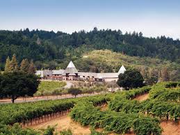 Image result for francis ford coppola winery napa