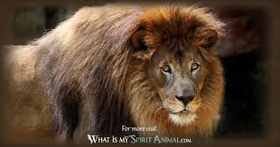 So, let's find out more about it and also seek the guidance it gives to us. Lion Symbolism Meaning Spirit Totem Power Animal