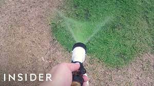 How To Make Your Lawn Green With Paint Youtube