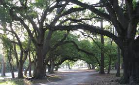 2 the county seat and the largest city is harrisburg , 3 pennsylvania 's state capital and ninth largest city. Dauphin Island Campground 3 Photos 1 Reviews Dauphin Island Al