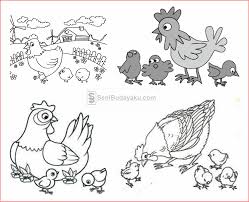 Gambar mewarnai ayam untuk anak. 10 Cara Menggambar Ayam Dengan Mudah Tk Nu 01 Kendit