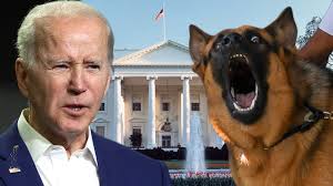 Biden's Press Secretary Says Commander the Dog Bit 7 Due to White House  Stress