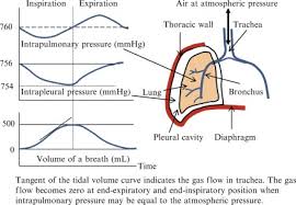Image result for Intrapleural Anesthesia