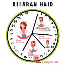 Ketika fasa ini, hormon dalam tubuh anda menyebabkan rahim anda meruntuhkan lapisan yang dibentuk ketika kitaran haid. Punca Masalah Utama Wanita Syurgahawaofficial