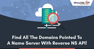 Find All The Domains Pointed To A Name Server Whois Api Blog