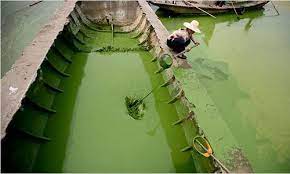 think china s air is polluted check out the lakes water pollution pollution pictures effects of water pollution