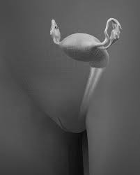 Women back body parts image real. Zygote