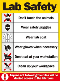 Get your stock and custom danger, warning, caution and notice signs here. Lab Safety Safety Poster Shop