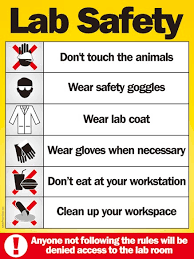 Lab manager recently scoured the safety policies of several laboratories to determine some of the most common lab safety rules out there, to help you whether you're developing or updating a set of policies for your own lab. Lab Safety Safety Poster Shop