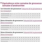 Calculer grossesse mois par mois