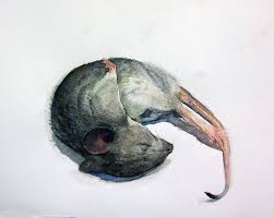 Benjamin Bjorklund Rat Watercolor And Ink Animal Paintings Artist Inspiration
