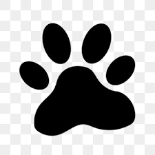 Paw Prints Png Images Vector And Psd Files Free Download On Pngtree Vector black web icon on white background. paw prints png images vector and psd