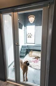 Let us take care of your pet while you are away. 220 Dog Boarding Kennels Ideas Dog Boarding Kennels Dog Boarding Dog Hotel