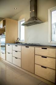 Davies Drive In 2020 Plywood Kitchen Modern Kitchen Design Rustic Kitchen Cabinets