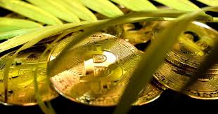 If successful, this will be the first bitcoin mining pool to exclusively run on clean energy. Argo Blockchain And Dmg Launch World S First Green Bitcoin Mining Pool Benzinga