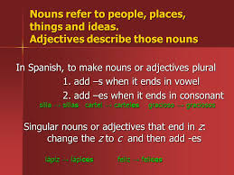 There are some adjectives which can be used to refer go through lesson nouns and gender in spanish (1) to review the rules to form plurals in spanish. La Pluralizacion Making Nouns Adjectives Plural Ppt Download