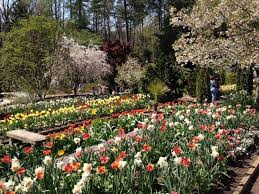 The 15 Best Decisions You Can Make In North Carolina North Carolina Botanical Gardens Summer Bucket Lists