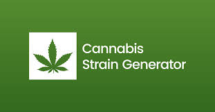 Check spelling or type a new query. Godfather Bomb Chemdawg Cannabis Strain Name Generator