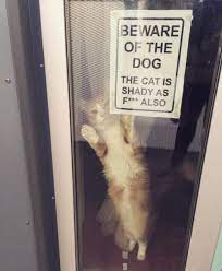 Memethings Beware Of Dog Cat Signs Crazy Funny Pictures