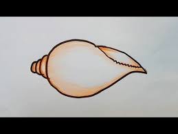 Check spelling or type a new query. How To Draw Conch Very Easy Youtube