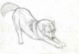 How To Draw A Realistic Wolf Step By Step Drawing Guide By Finalprodigy Dragoart Com Wolf Drawing Cartoon Wolf Drawing Cute Wolf Drawings