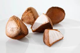 Image result for Carapa