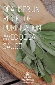 Realiser Un Rituel De Purification Avec De La Sauge En 2020 Avec Images Nettoyage Energetique Sauge Rituel De Protection