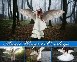 15 Angel Wings Overlays Photoshop Overlays Angel Wings Clip Art Angel Wings Overlay Angel Wings Clip