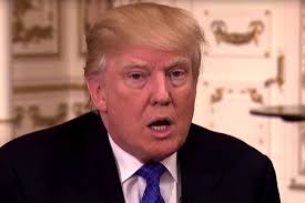 Image result for Donald Trump