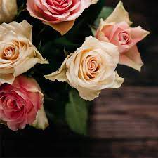 For all those blood sweat she has put behind making you what you are today needs to be pampered with luxury gifts. 6 Sympathy Gift Ideas Better Than Flowers