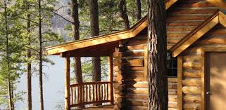 Maybe you would like to learn more about one of these? Durango Co Cabins Cabin
