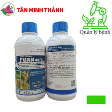 Fuan 40EC