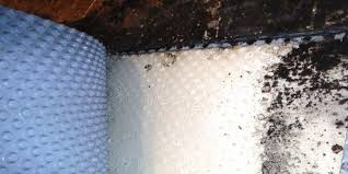 After drying off your walls, see to it that how to remove mold from. How To Get Rid Of And Prevent Mold Growth On Concrete Environix