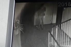 Jesteśmy godnym zaufania partnerem biznesowym na rynku przesyłek krajowych i zagranicznych. Curier De La Firma Dpd Surprins De Camerele Video In Timp Ce UrineazÄƒ Pe Scara Unui Bloc Din PloieÈ™ti Observatorul Prahovean