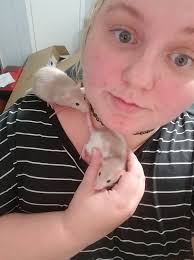 Is there a difference in sound between big and small ProCo Rat pedals?