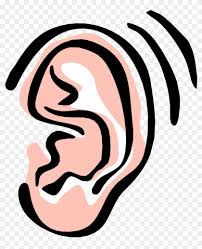 Ear Clipart For Kids 3 Ear Clipart Transparent Background Png Download 581061 Pikpng