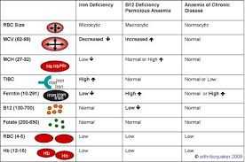 Colorado Biolabs Proferrin On Pinterest