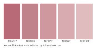 The metallic rosegold gradient color scheme palette has 6 colors which are rose gold (#b76e78), parrot pink (#d998a3), pale pink (#f6dfe1), queen pink (#efd1d5), cameo pink (#ebbec4) and pastel pink (#d8a2a9). Rose Gold Gradient Color Scheme Monochromatic Schemecolor Com